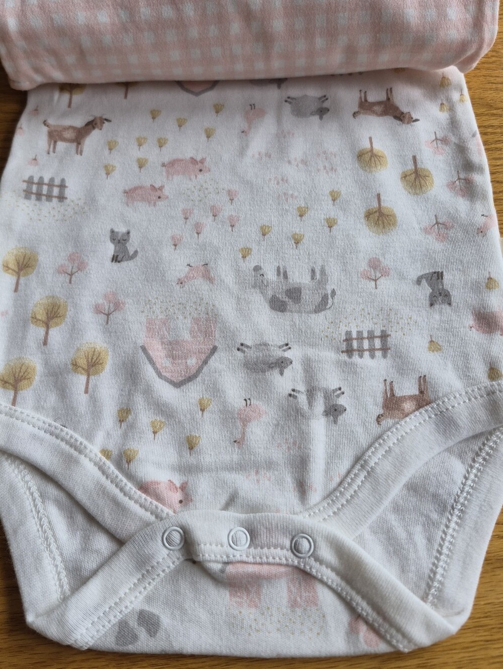 Rabbit + Bear Baby Girl Onesies 6-9 Months - Picture 4 of 16